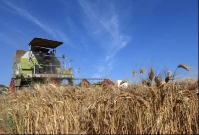 Artigo: Agricultura e sustentabilidade na era da inteligência artificial